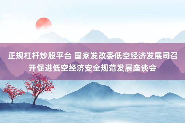 正规杠杆炒股平台 国家发改委低空经济发展司召开促进低空经济安全规范发展座谈会