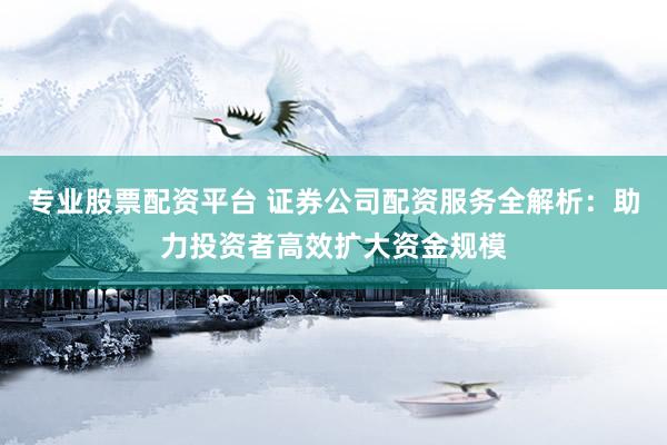 专业股票配资平台 证券公司配资服务全解析：助力投资者高效扩大资金规模