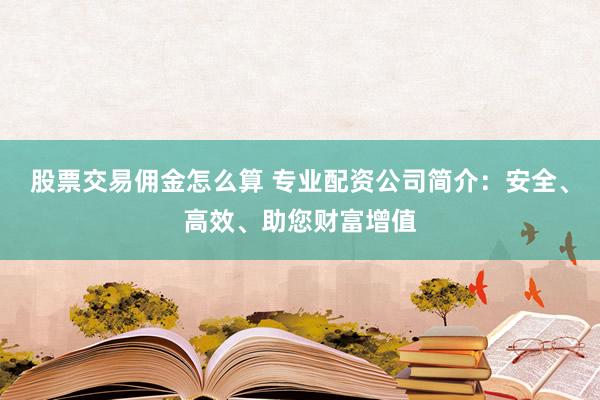 股票交易佣金怎么算 专业配资公司简介：安全、高效、助您财富增值