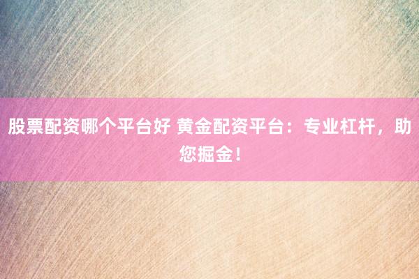 股票配资哪个平台好 黄金配资平台：专业杠杆，助您掘金！