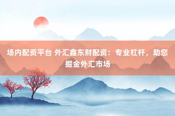 场内配资平台 外汇鑫东财配资：专业杠杆，助您掘金外汇市场