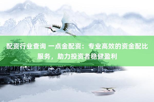 配资行业查询 一点金配资：专业高效的资金配比服务，助力投资者稳健盈利