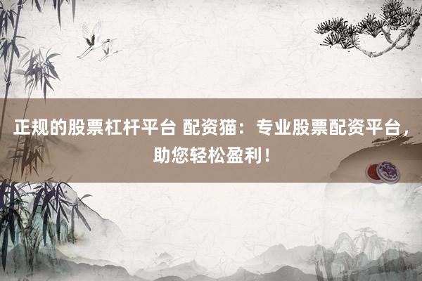 正规的股票杠杆平台 配资猫：专业股票配资平台，助您轻松盈利！