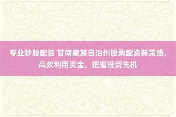 专业炒股配资 甘南藏族自治州股票配资新策略，高效利用资金，把握投资先机