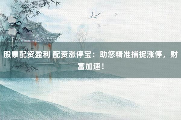 股票配资盈利 配资涨停宝：助您精准捕捉涨停，财富加速！