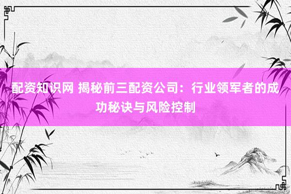 配资知识网 揭秘前三配资公司：行业领军者的成功秘诀与风险控制