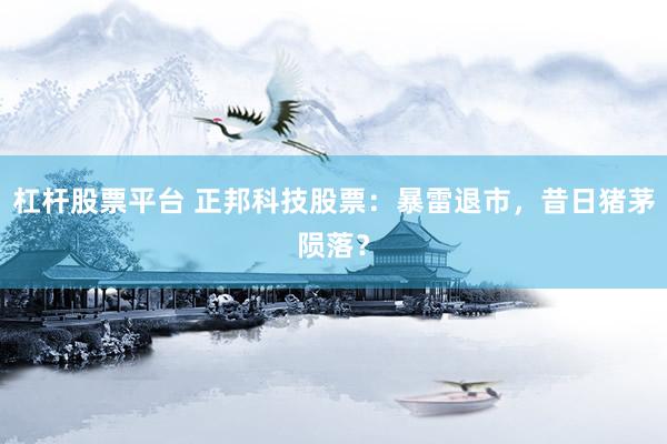 杠杆股票平台 正邦科技股票：暴雷退市，昔日猪茅陨落？