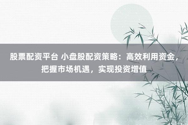 股票配资平台 小盘股配资策略：高效利用资金，把握市场机遇，实现投资增值