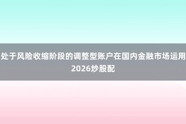 处于风险收缩阶段的调整型账户在国内金融市场运用2026炒股配
