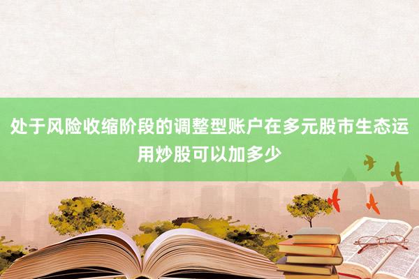 处于风险收缩阶段的调整型账户在多元股市生态运用炒股可以加多少
