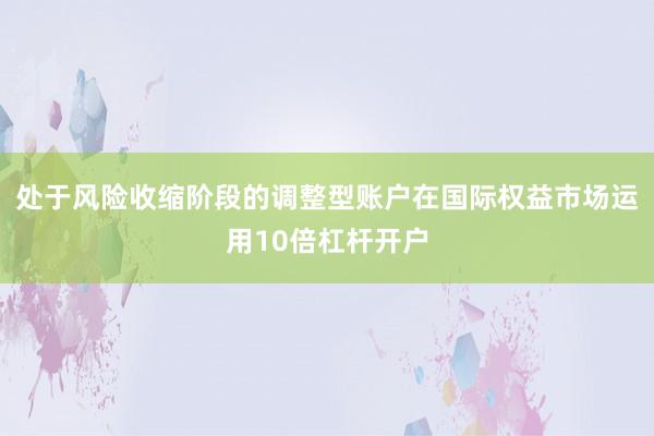 处于风险收缩阶段的调整型账户在国际权益市场运用10倍杠杆开户