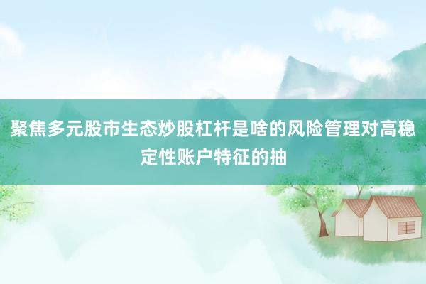 聚焦多元股市生态炒股杠杆是啥的风险管理对高稳定性账户特征的抽